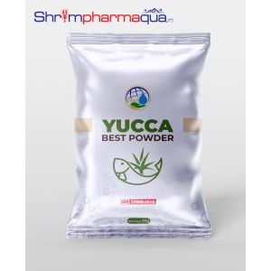 YUCCA BEST POWDER - YUCCA bột trộn yucca cho ăn, Hấp thu khí độc NH3, H2S, NO2 trực tiếp từ trong ruột tôm cá